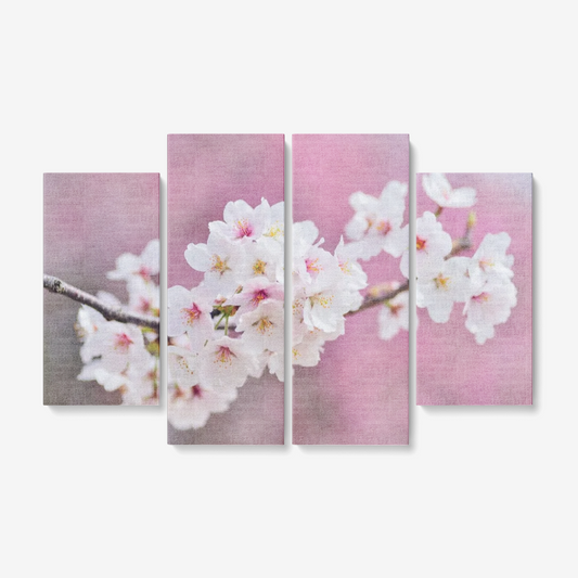 Blossom
