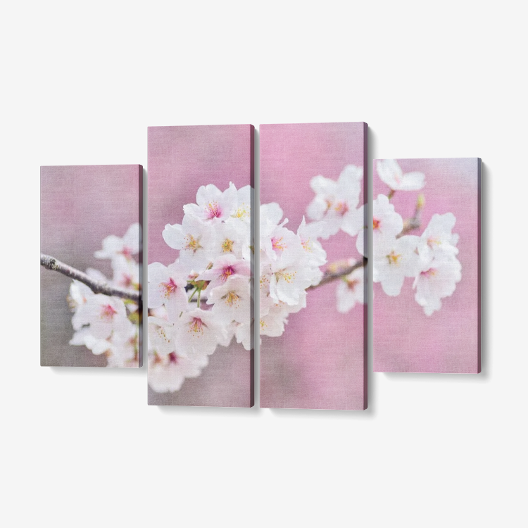 Blossom