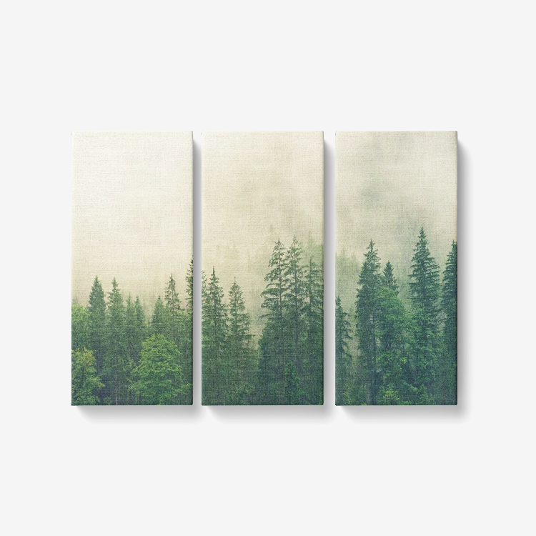 Beautiful Landscape Painting