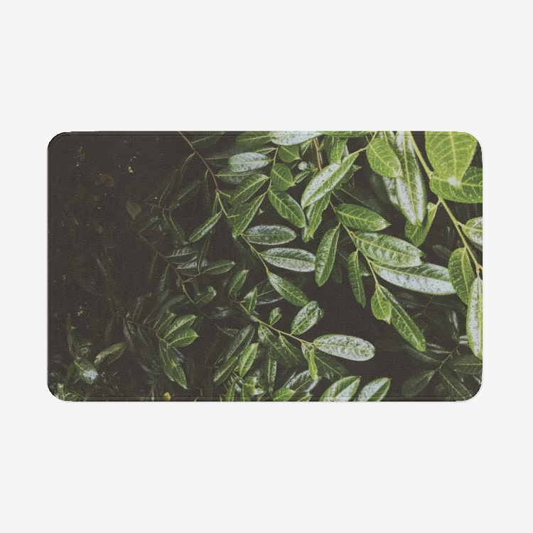 Leaf1526