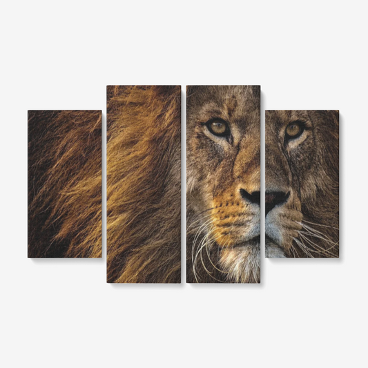 Lionnnnnnnnnnnn