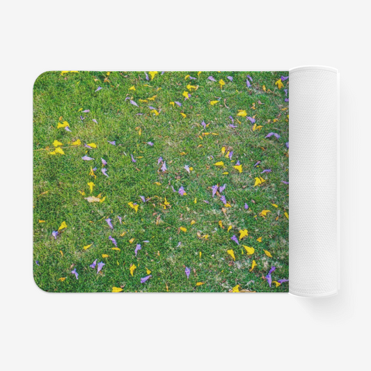 Meadow1