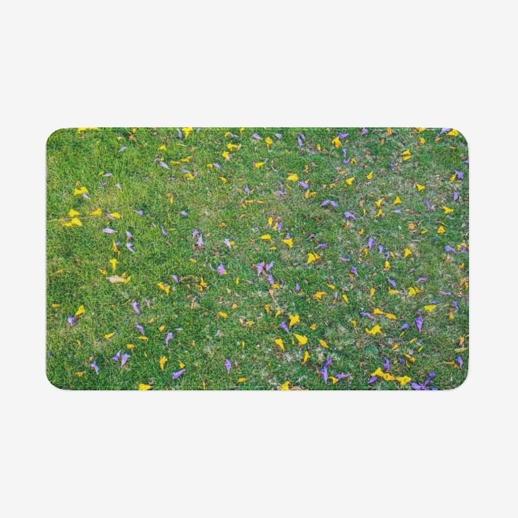 Meadow1