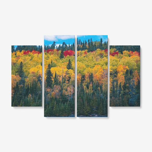 Colorful Forest