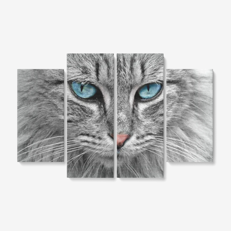 Blue Eye Cat