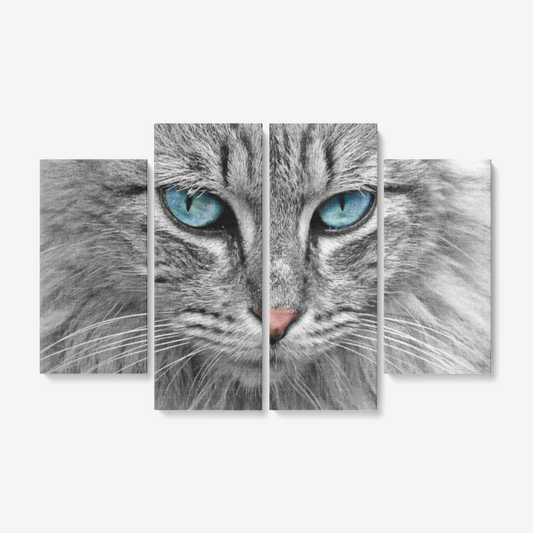 Blue Eye Cat
