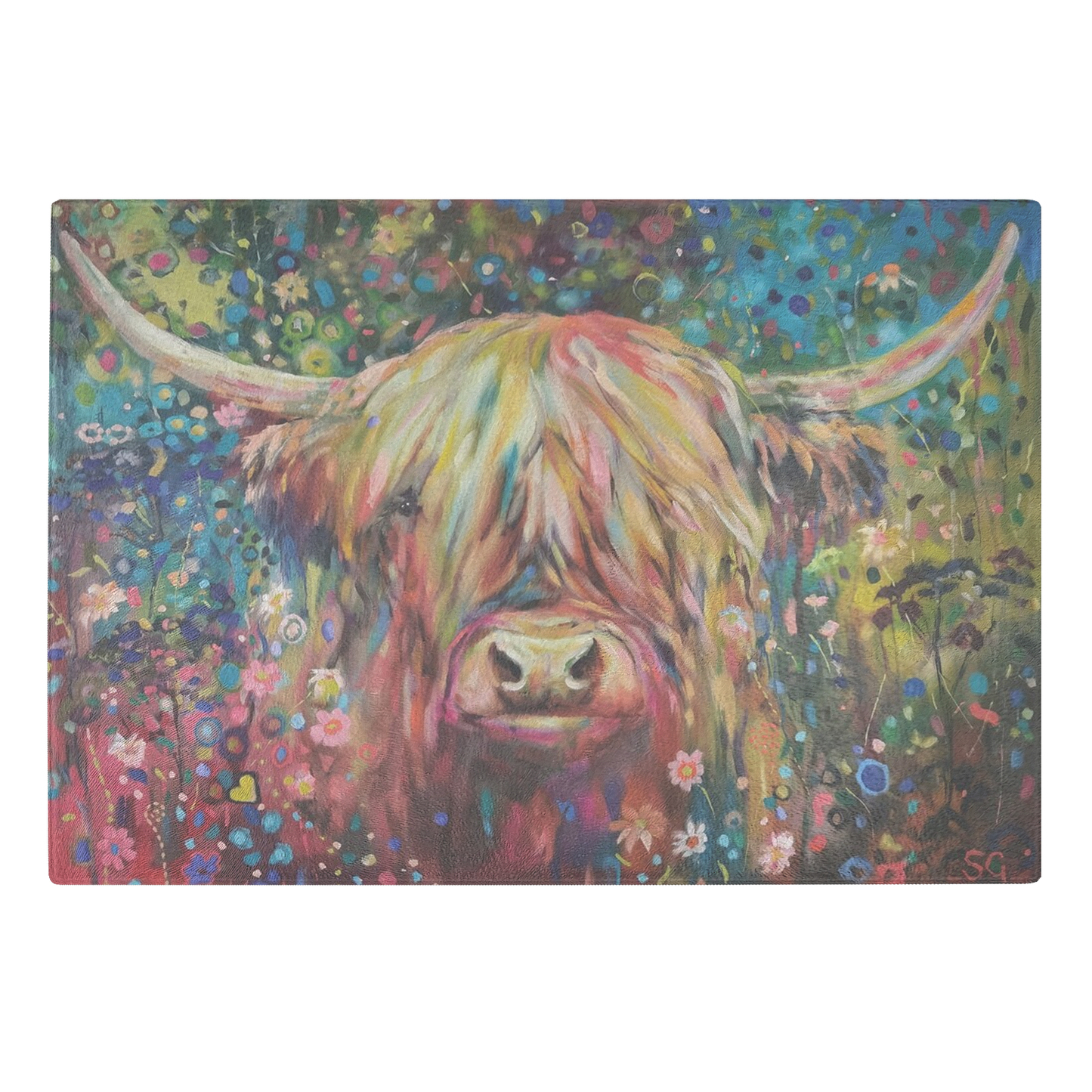 highland cow 1