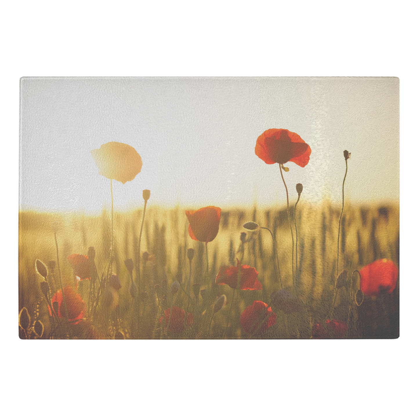 Flower field