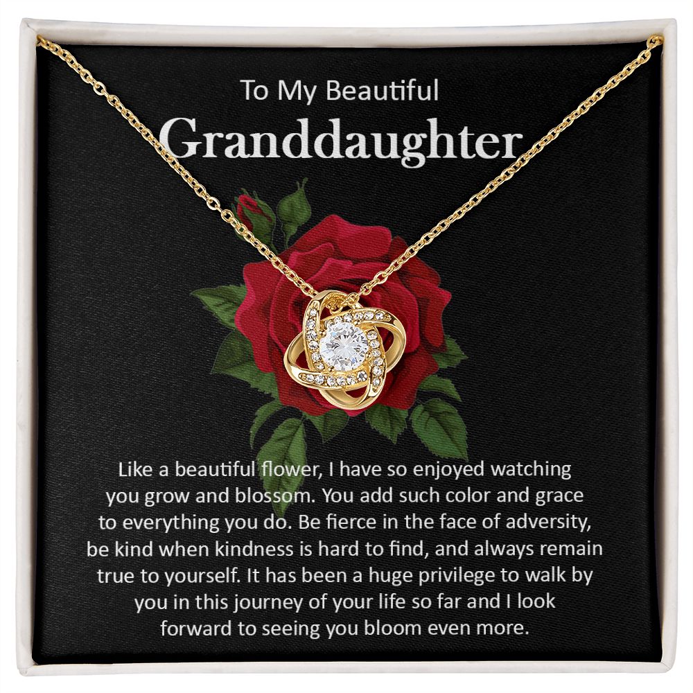 Granddaughter111-05