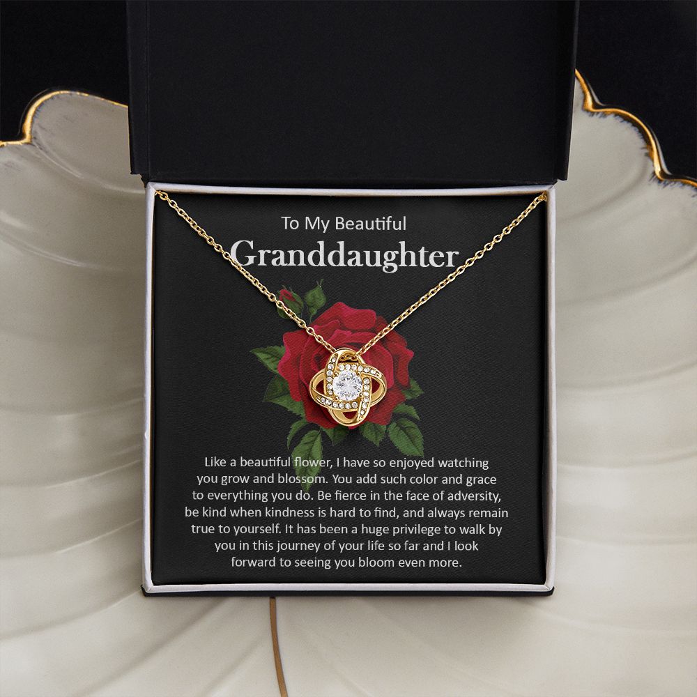 Granddaughter111-05