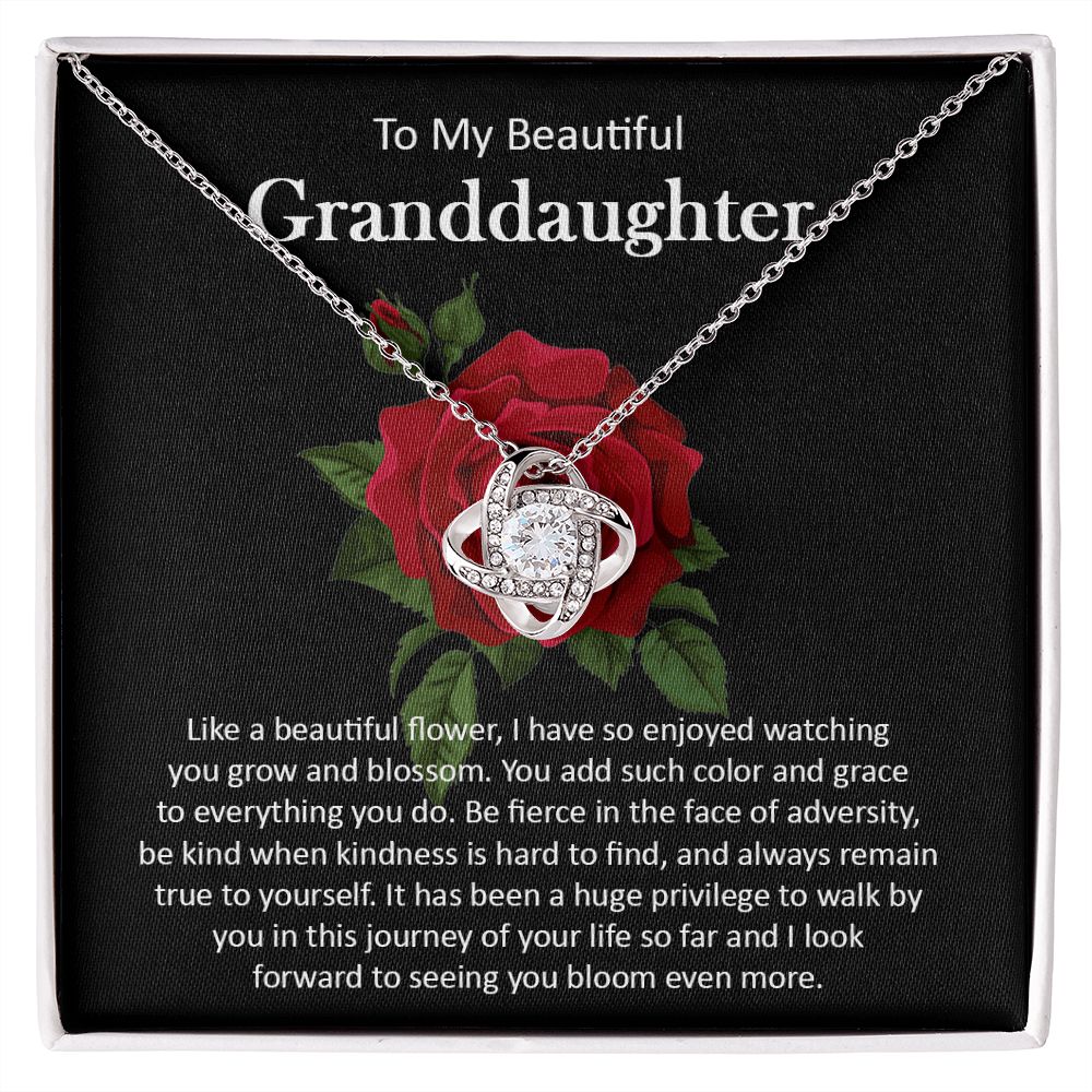 Granddaughter111-05