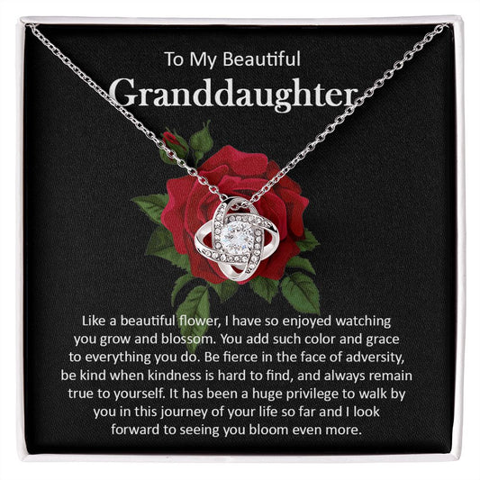 Granddaughter111-05