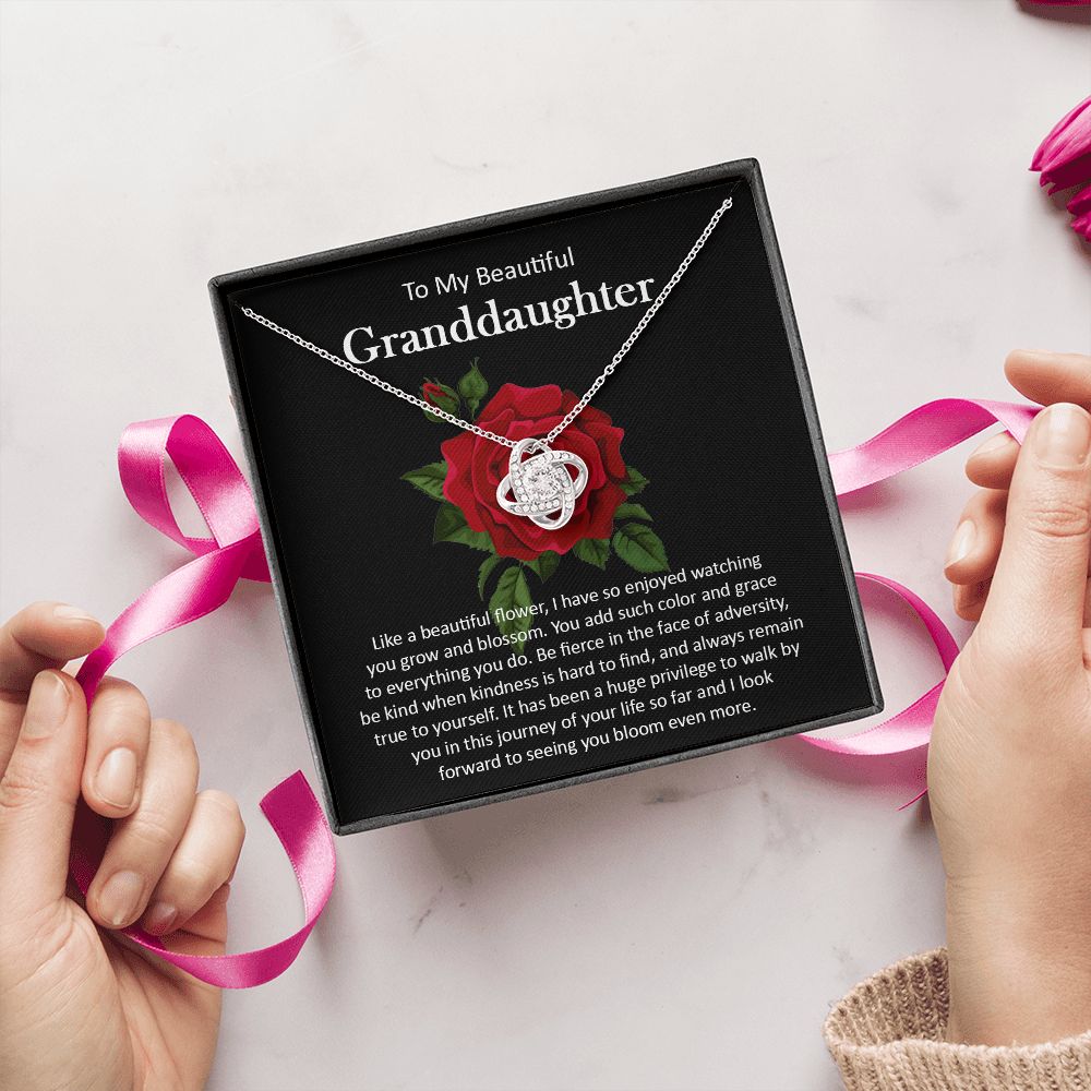 Granddaughter111-05