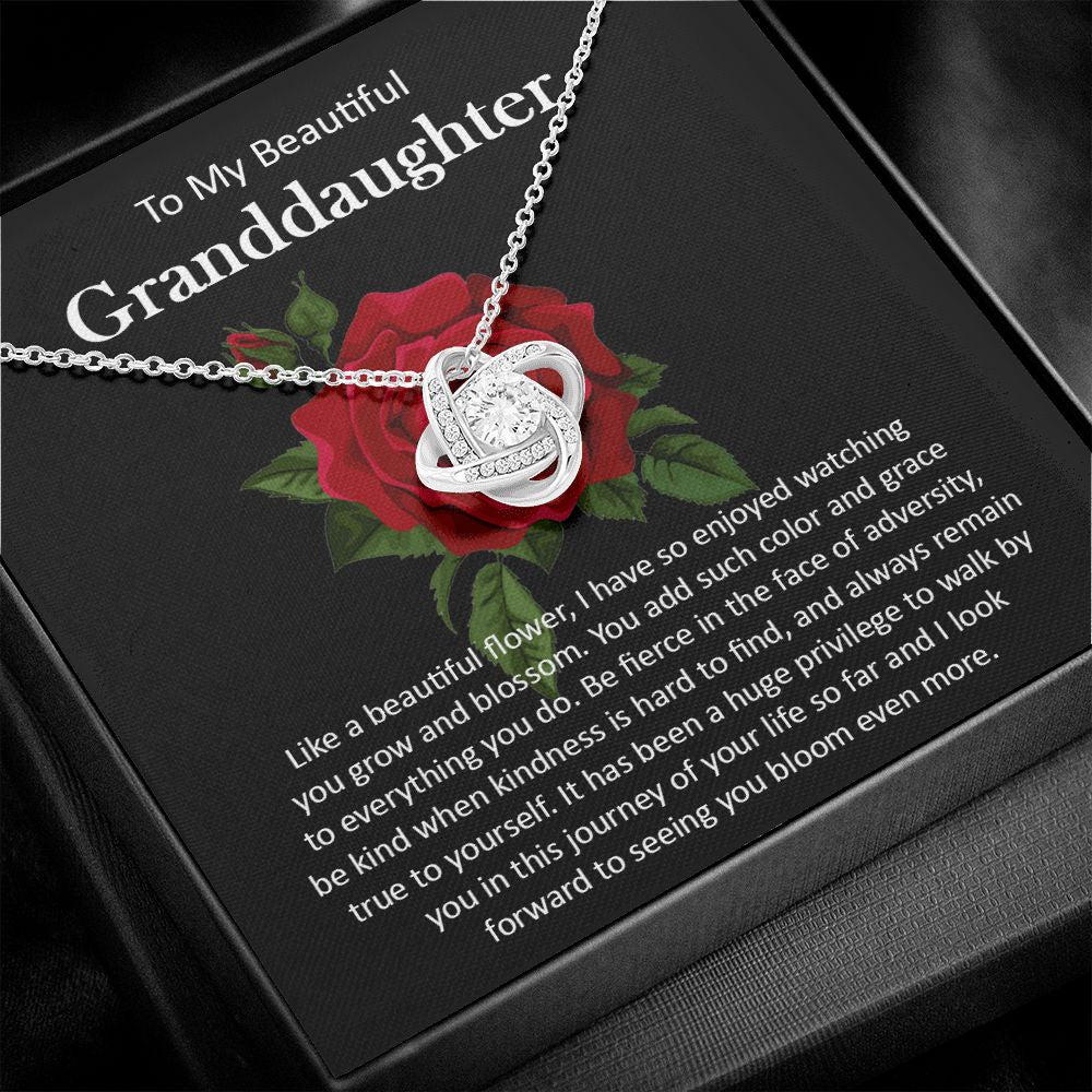 Granddaughter111-05