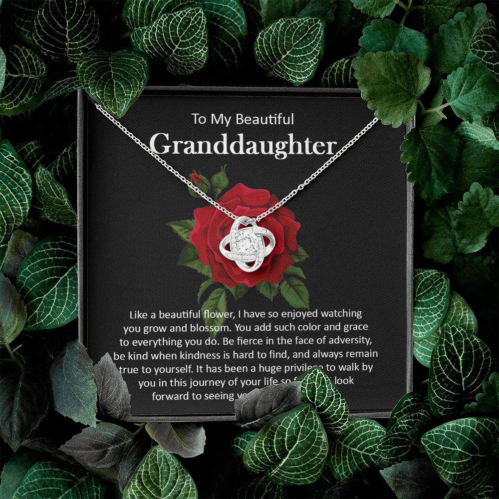 Granddaughter111-05