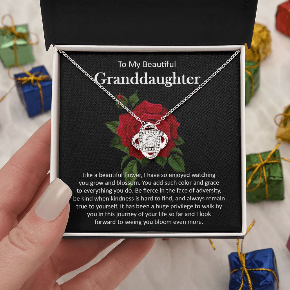 Granddaughter111-05