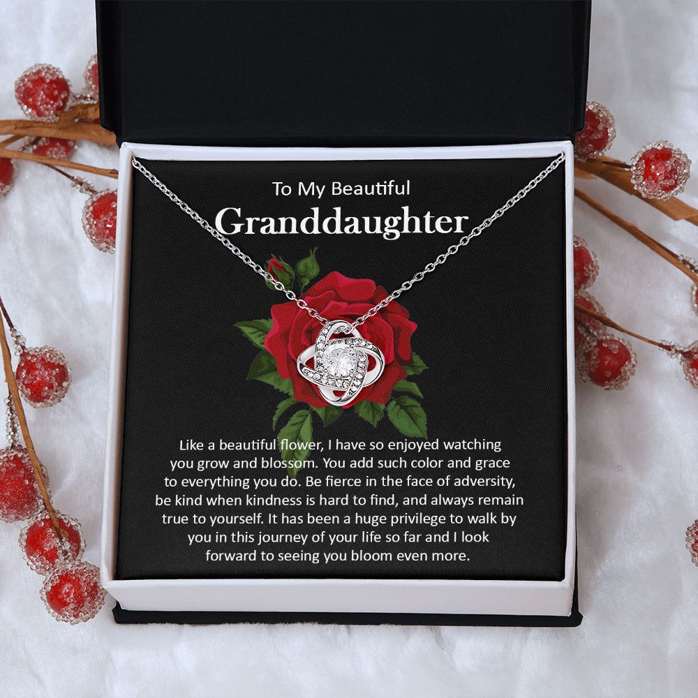 Granddaughter111-05