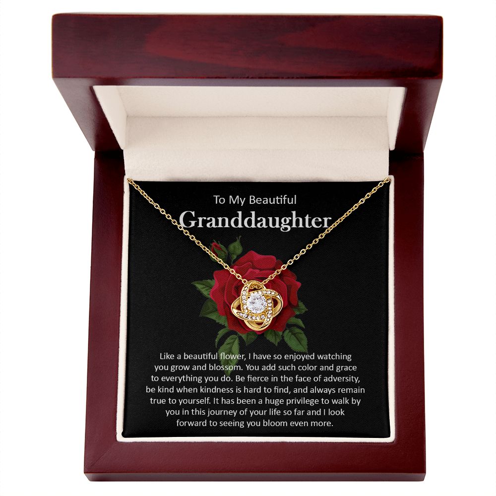 Granddaughter111-05