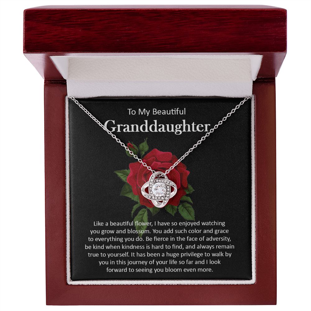 Granddaughter111-05