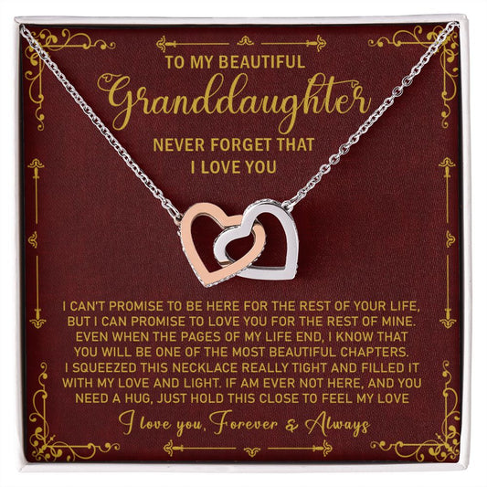 Granddaughter111-02