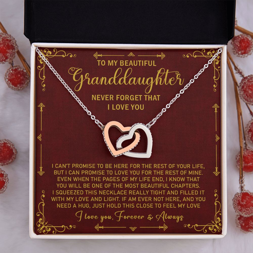 Granddaughter111-02