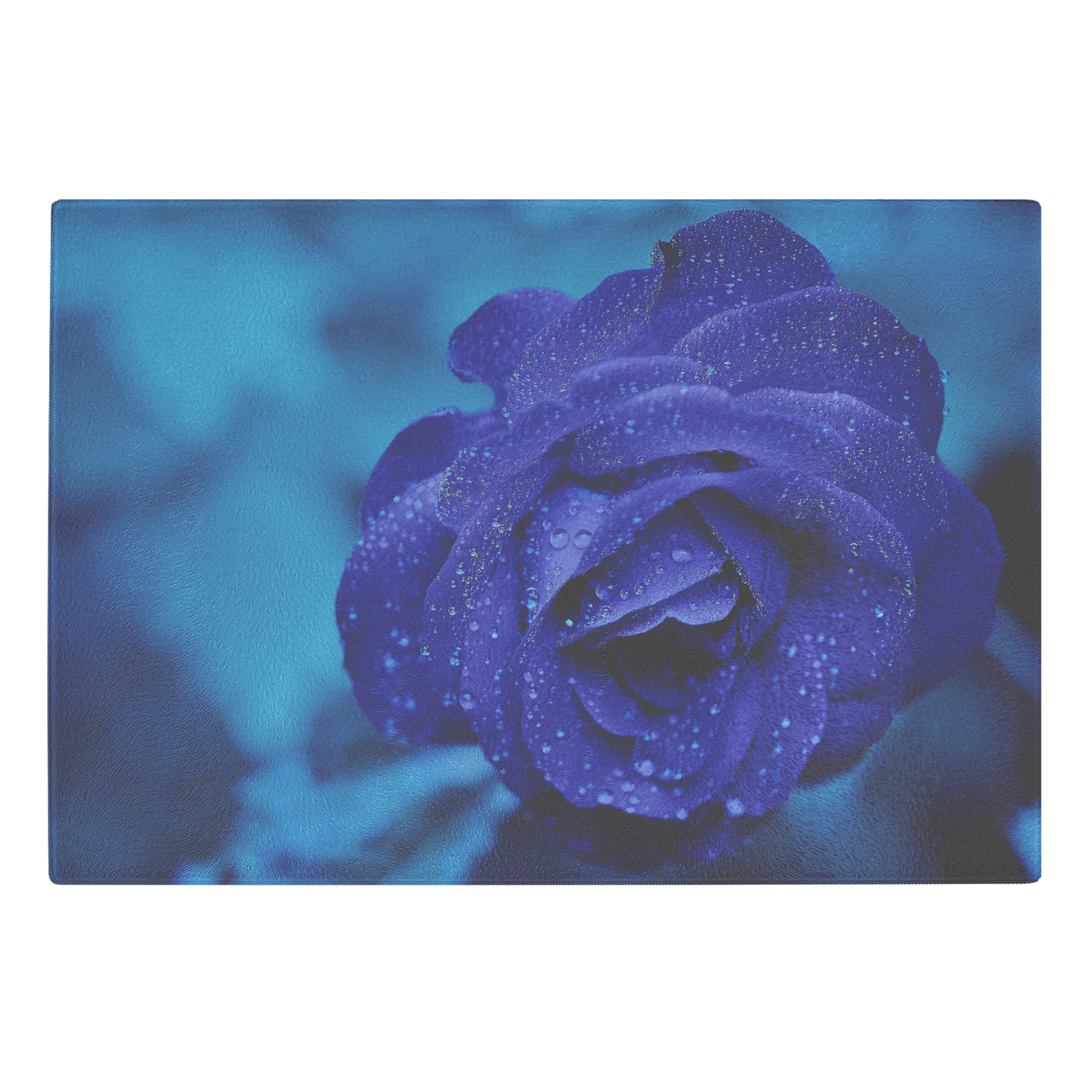 blue rose
