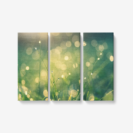 Meadow