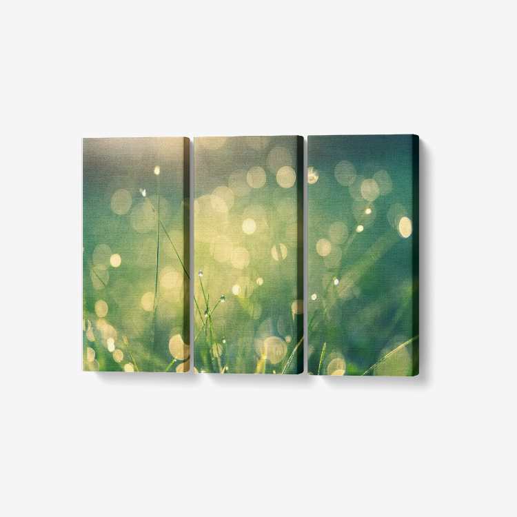 Meadow