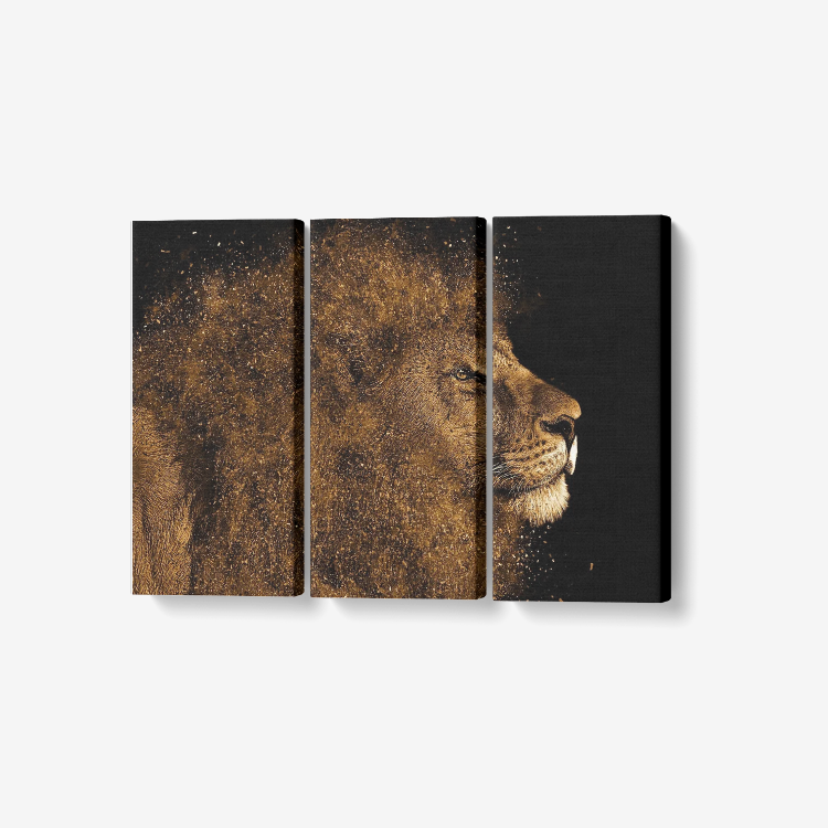 Lion 1