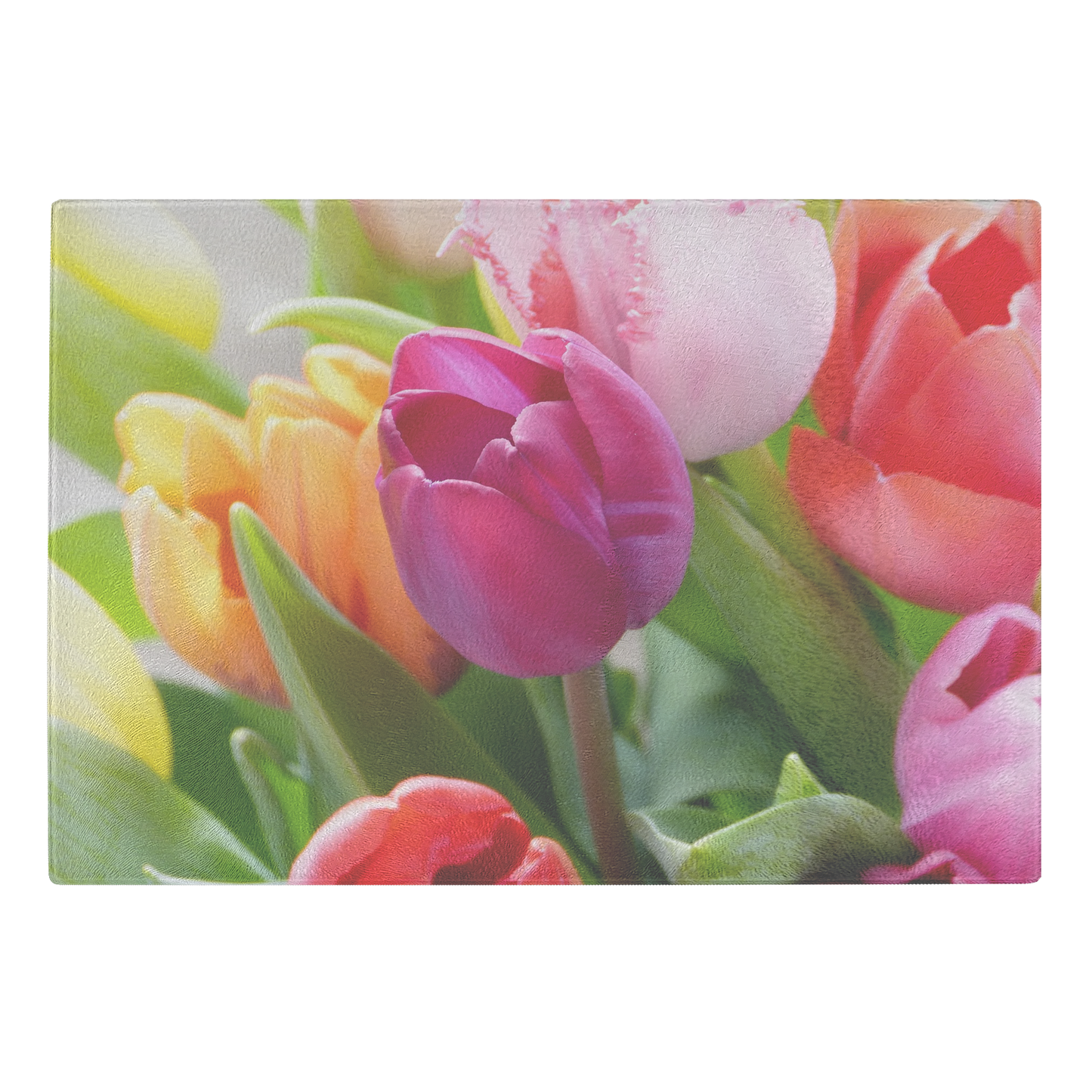 Tulip Flowers