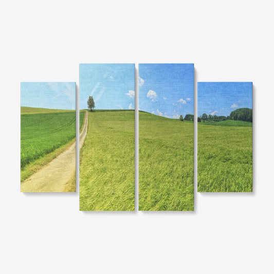 Meadow