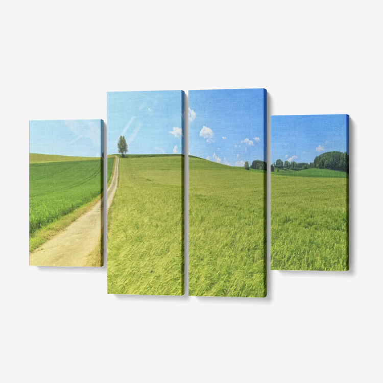 Meadow