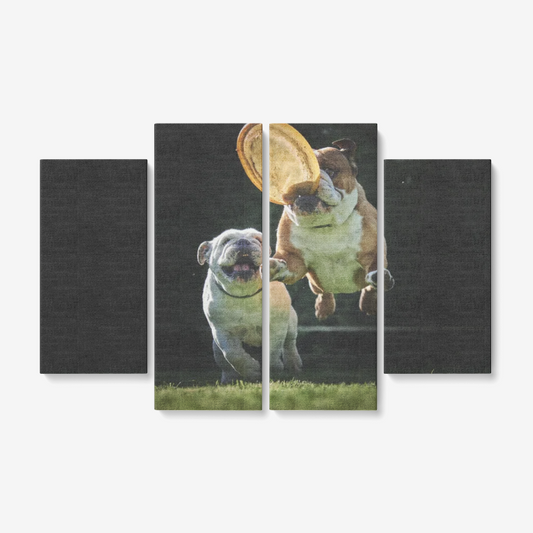 Funny Dogs