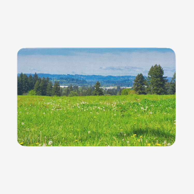 Garden Meadow