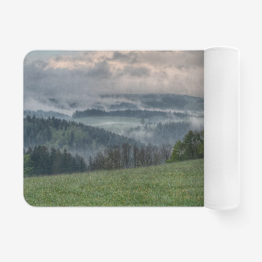 landscape1446