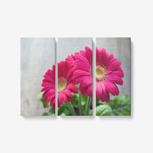 Red flower