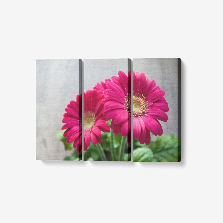 Red flower