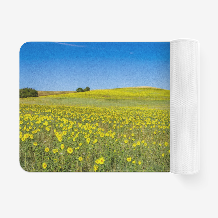 Flower Field