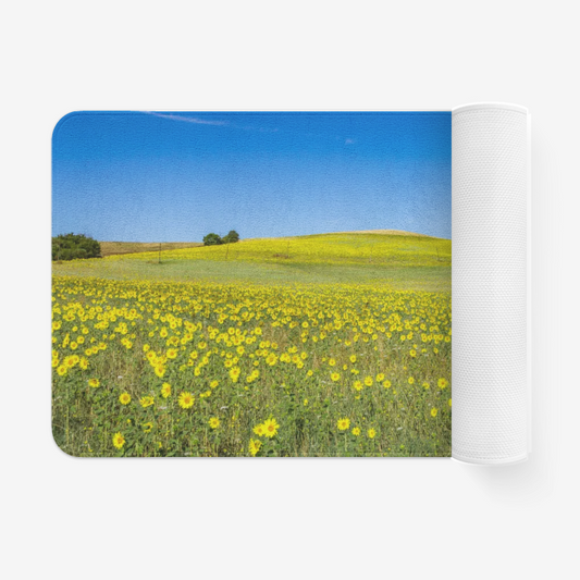 Flower Field
