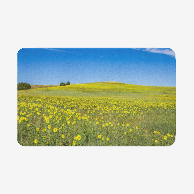 Flower Field
