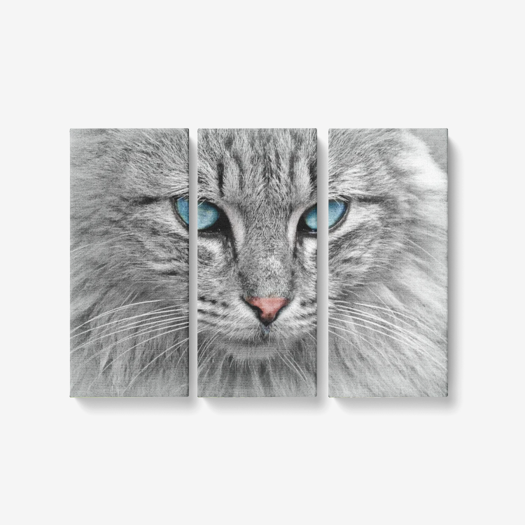 Royal Cat