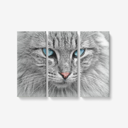Royal Cat