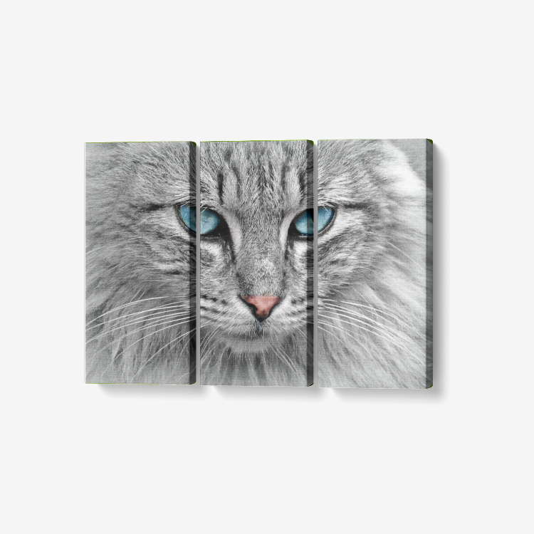 Royal Cat
