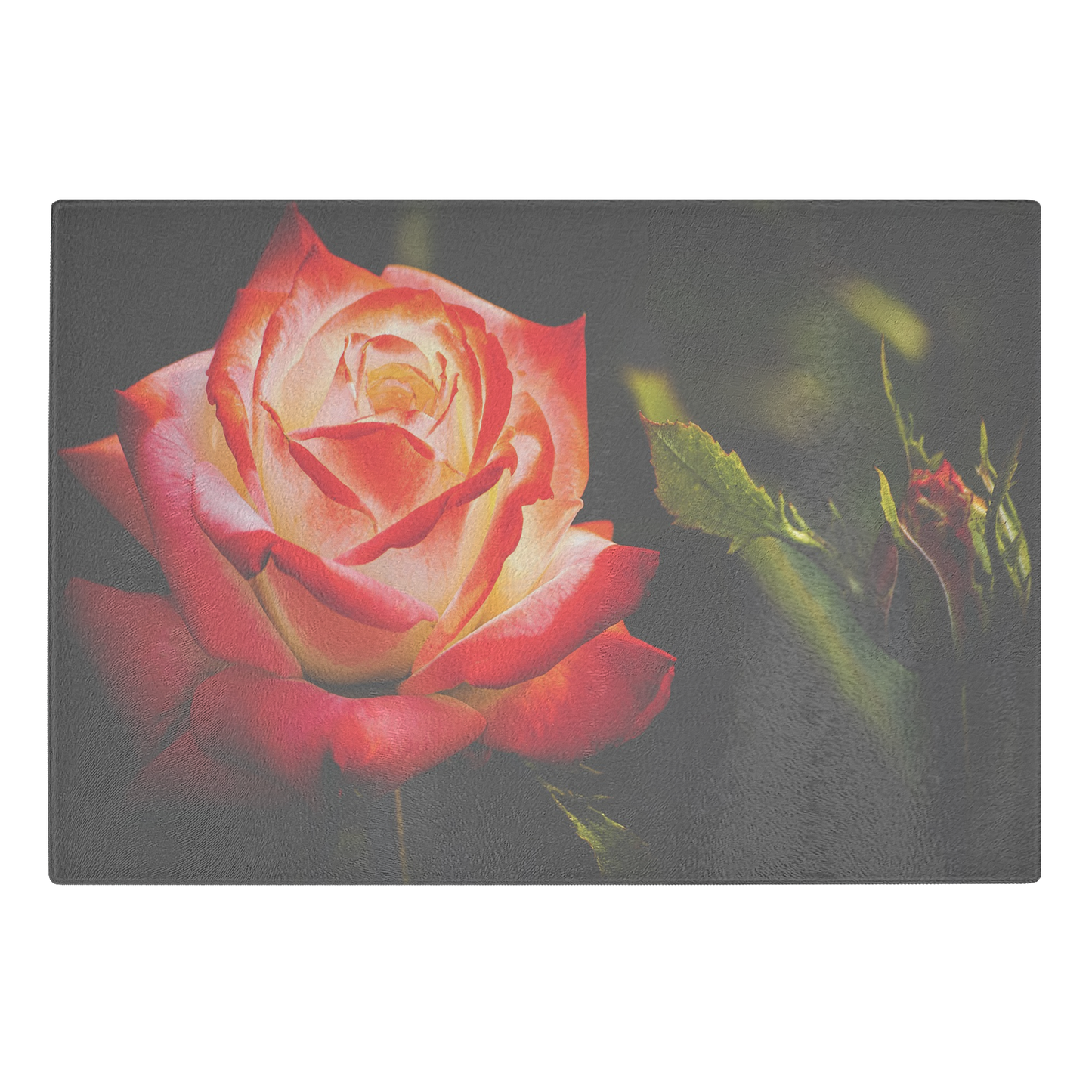 Brilliant roses