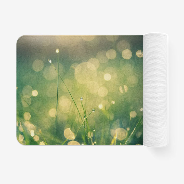 Meadow