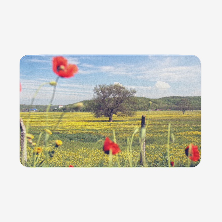 Lanscape1