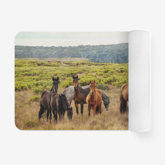 Horses