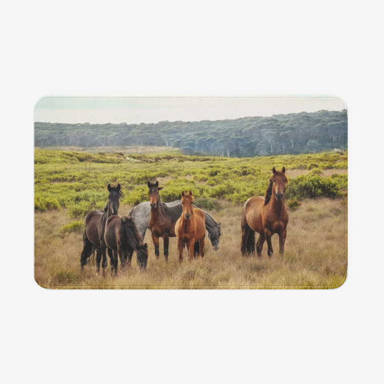 Horses