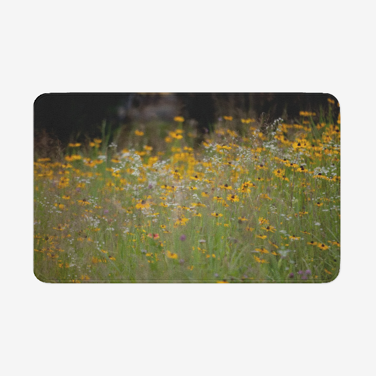 Landscape1127