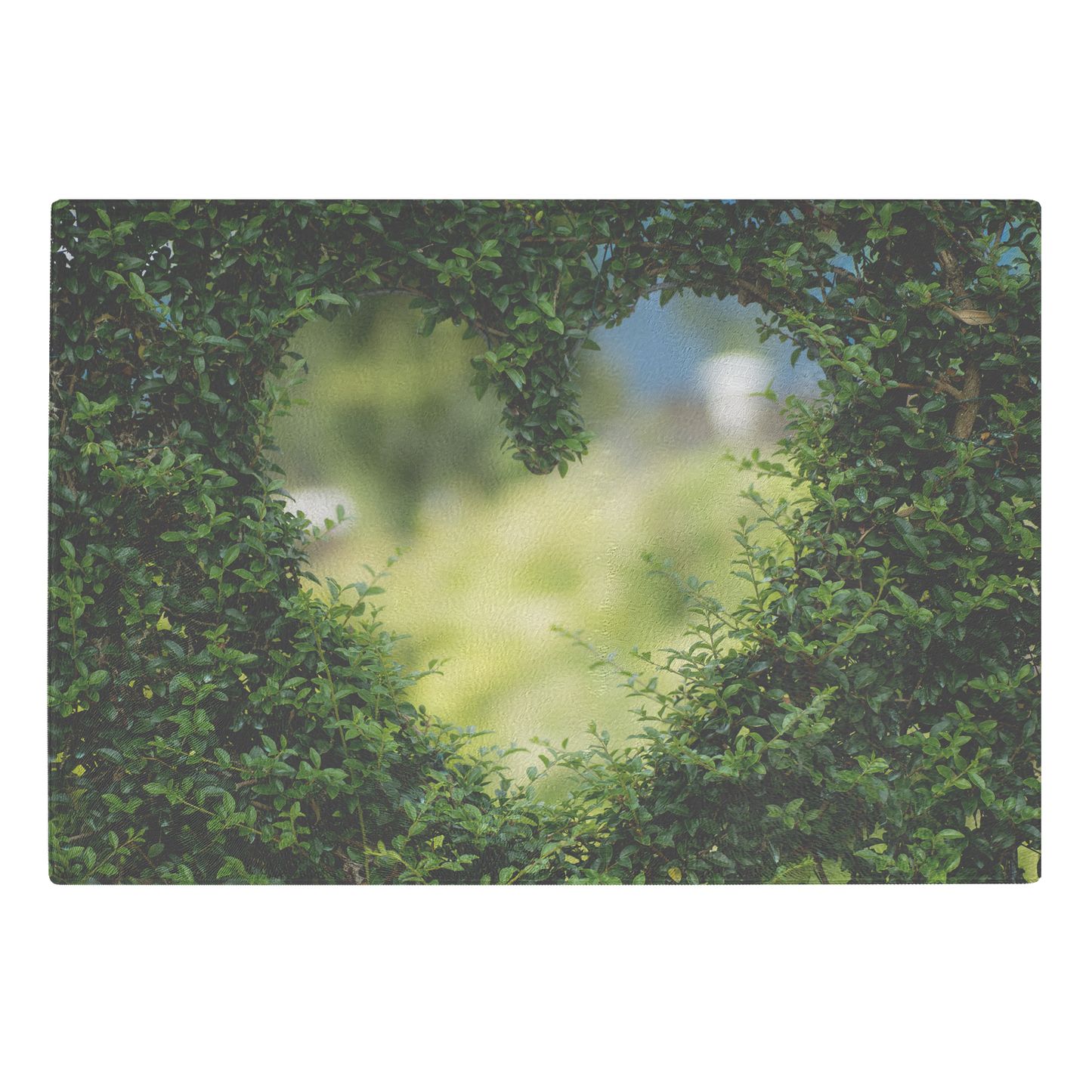 heart view